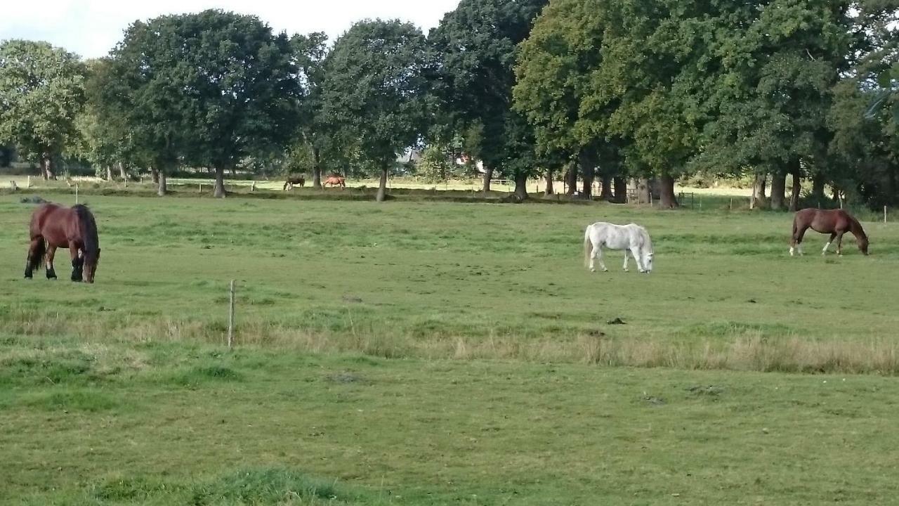 Gaestehaus Am Brockeswald Cuxhaven Luaran gambar