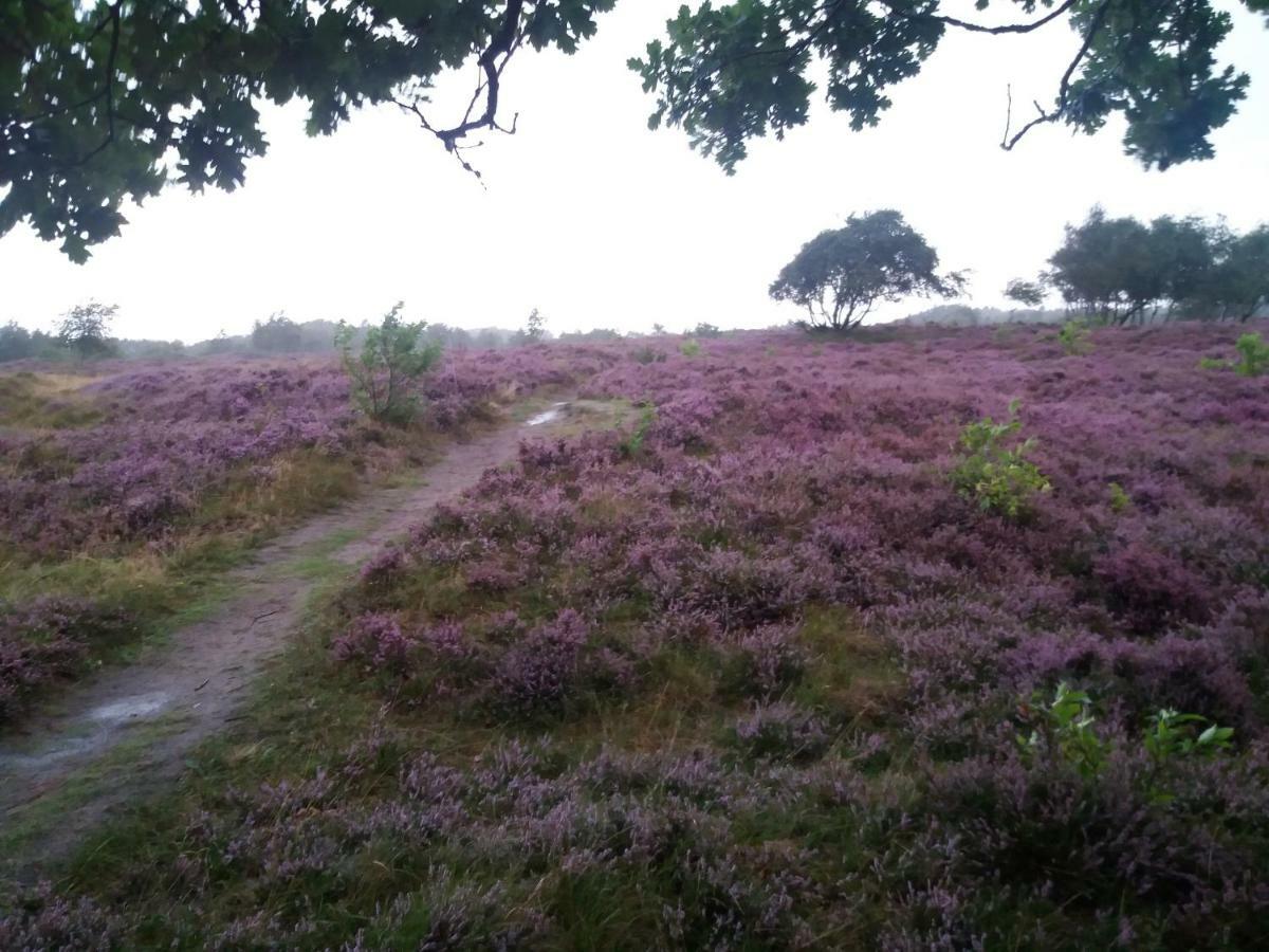 Gaestehaus Am Brockeswald Cuxhaven Luaran gambar
